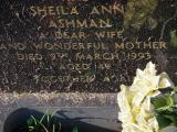 image of grave number 911939